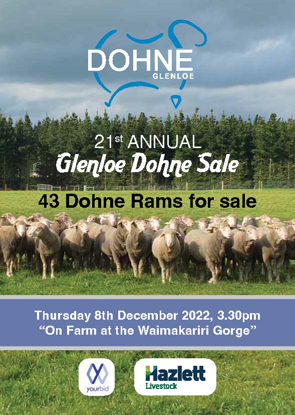 Glenloe Dohne Ram Sale 2022 catalogue cover Page 01