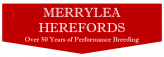 Merrylea Logo
