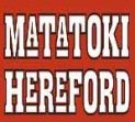 Matatoki logo