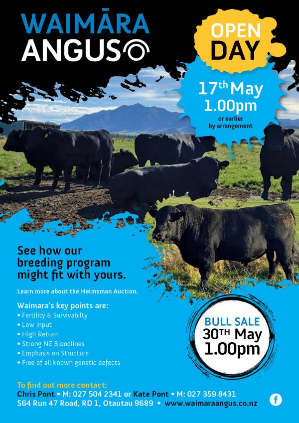 Waimara Stud Open Day 17 May 2024