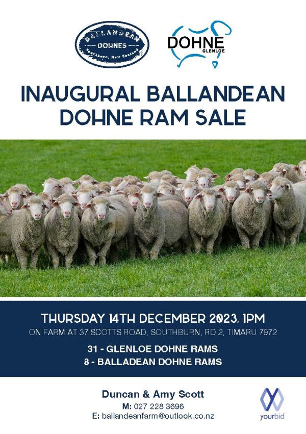 Ballandean Dohne Ram Sale 2023 cover Page 01