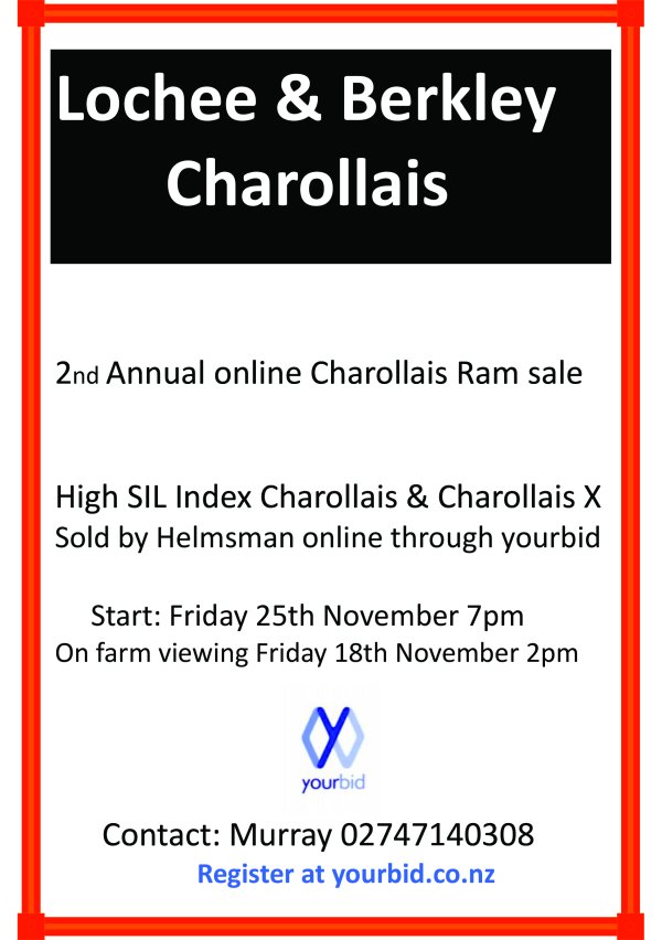 Lochee Charolais